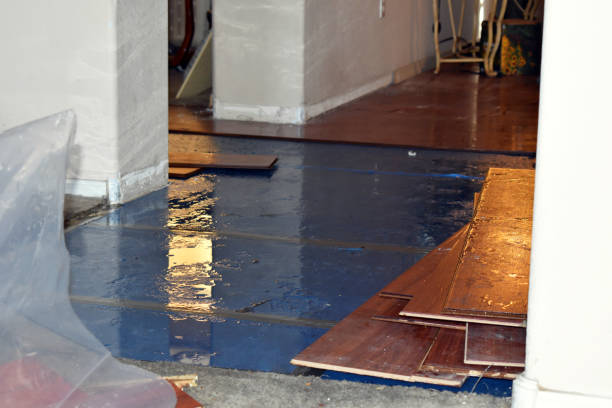 Professional Sewage Cleanup technician working in Eustace, TX
